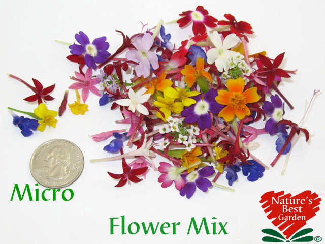 Micro Flower Mix